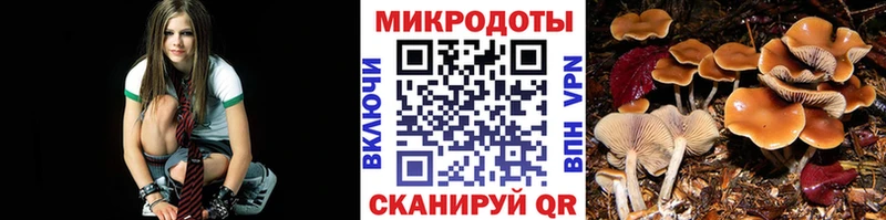 Галлюциногенные грибы ЛСД  Купить закладки  Великие Луки 